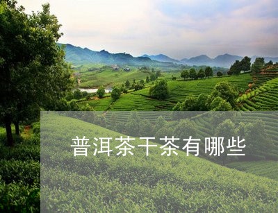 普洱茶干茶有哪些/2023031517461