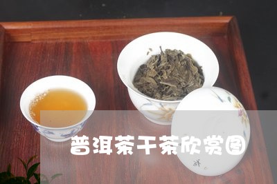 普洱茶干茶欣赏图/2023031876969