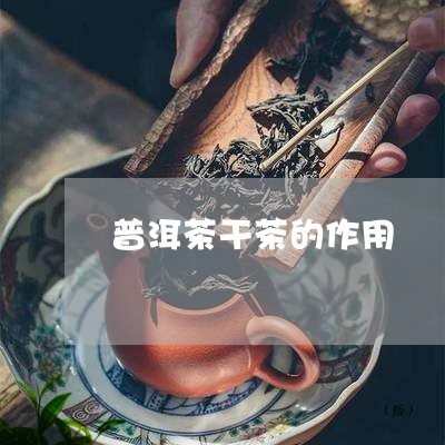 普洱茶干茶的作用/2023041105041