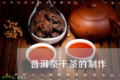 普洱茶干茶的制作/2023041202624