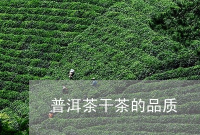 普洱茶干茶的品质/2023041156281