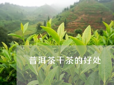 普洱茶干茶的好处/2023041147379