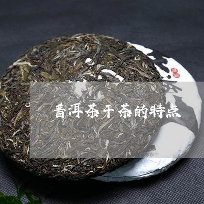 普洱茶干茶的特点/2023031690714