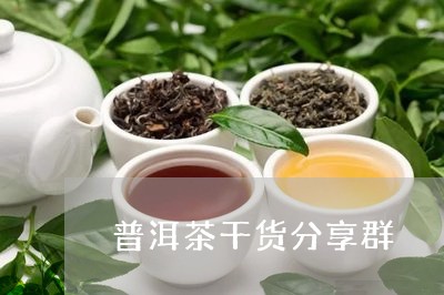 普洱茶干货分享群/2023031826249