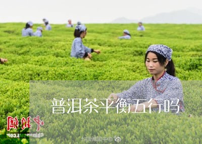 普洱茶平衡五行吗/2023033046189