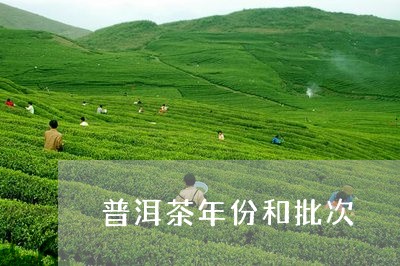 普洱茶年份和批次/2023041071503