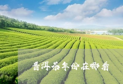 普洱茶年份在哪看/2023041304828