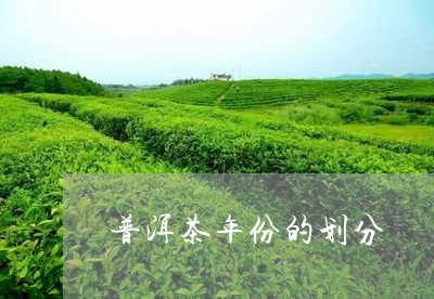 普洱茶年份的划分/2023041148371