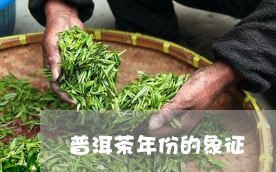 普洱茶年份的象征/2023041035050