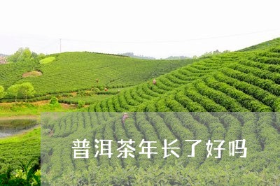 普洱茶年长了好吗/2023041051837