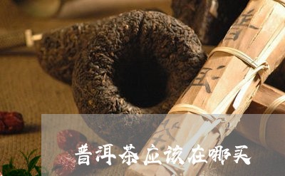 普洱茶应该在哪买/2023033199693