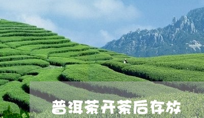 普洱茶开茶后存放/2023041176038