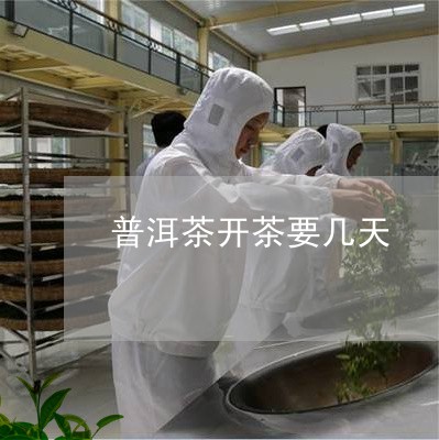 普洱茶开茶要几天/2023041184059