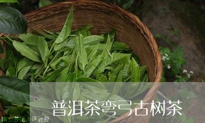 普洱茶弯弓古树茶/2023041140381