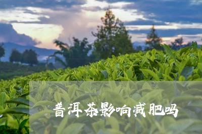 普洱茶影响减肥吗/2023031815825