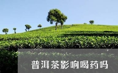 普洱茶影响喝药吗/2023031782634