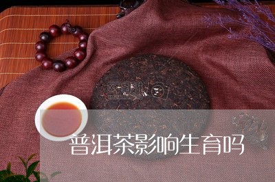 普洱茶影响生育吗/2023041022735