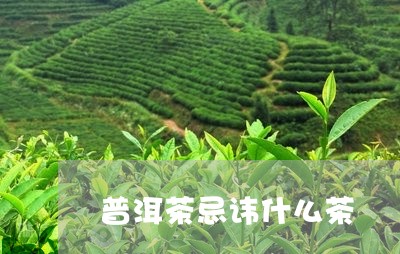 普洱茶忌讳什么茶/2023041298479