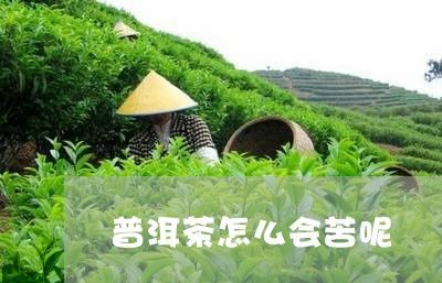 普洱茶怎么会苦呢/2023033100803