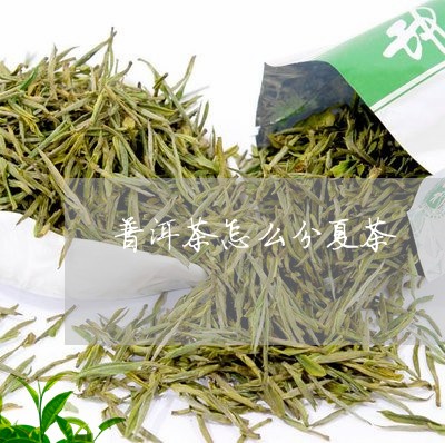 普洱茶怎么分夏茶/2023041164716