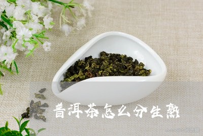 普洱茶怎么分生熟/2023041351593