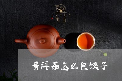 普洱茶怎么包饺子/2023040956484