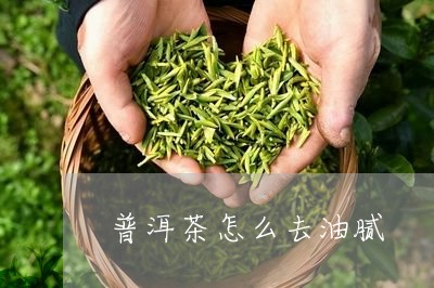 普洱茶怎么去油腻/2023041048461