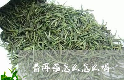 普洱茶怎么怎么喝/2023041099495