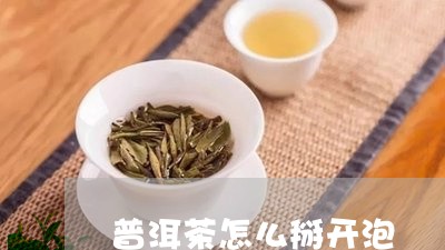 普洱茶怎么掰开泡/2023041025403