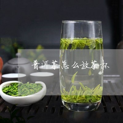 普洱茶怎么放茶杯/2023041092837