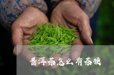 普洱茶怎么有茶梗/2023031647259