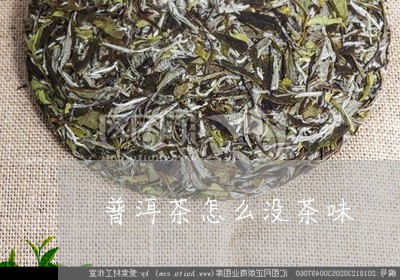 普洱茶怎么没茶味/2023041131714