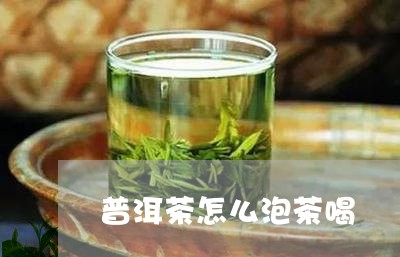 普洱茶怎么泡茶喝/2023040927271