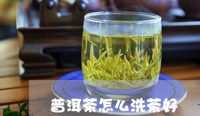 普洱茶怎么洗茶好/2023031666360