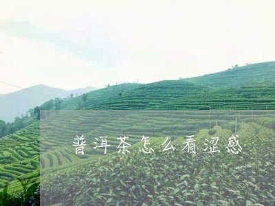 普洱茶怎么看涩感/2023033021606