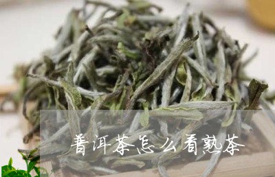 普洱茶怎么看熟茶/2023031725057