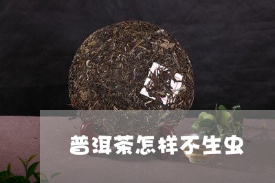 普洱茶怎样不生虫/2023040160573