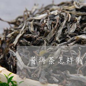 普洱茶怎样制茶饼/2023041154926