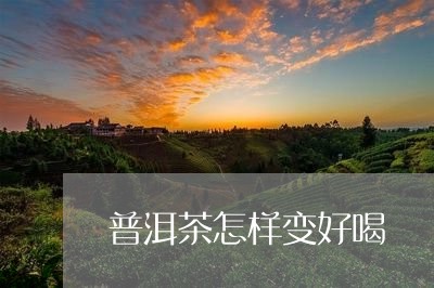 普洱茶怎样变好喝/2023041311513