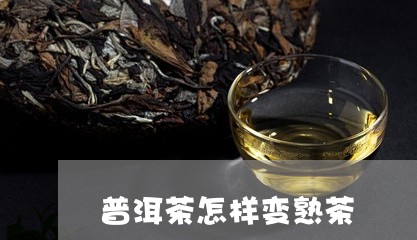 普洱茶怎样变熟茶/2023041149505