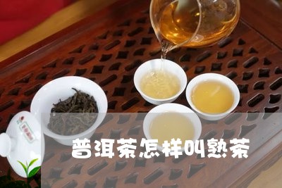 普洱茶怎样叫熟茶/2023041194949