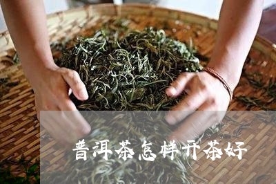 普洱茶怎样开茶好/2023041106039