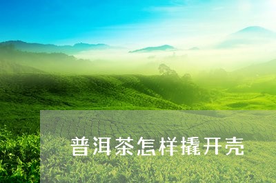 普洱茶怎样撬开壳/2023031891927