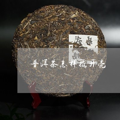 普洱茶怎样撬开壳/2023041332625