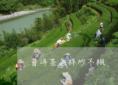 普洱茶怎样炒不糊/2023040101683