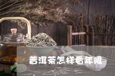 普洱茶怎样看年限/2023041358504