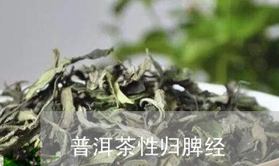 普洱茶性归脾经/2023033173624