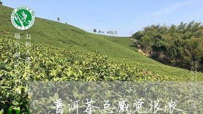 普洱茶总感觉很浓/2023031787264