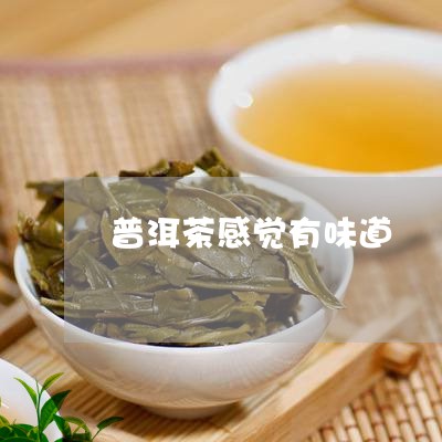 普洱茶感觉有味道/2023040965038