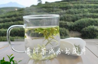 普洱茶成分书图片/2023031798693